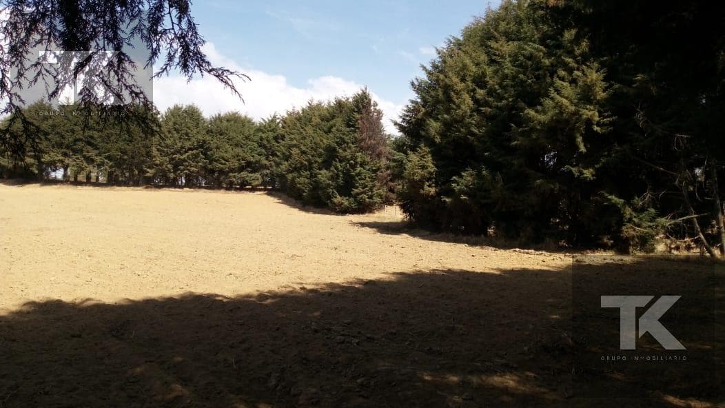 LAND FOR SALE IN XALATLAXO - (4)