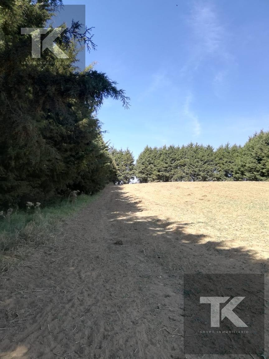 LAND FOR SALE IN XALATLAXO - (4)