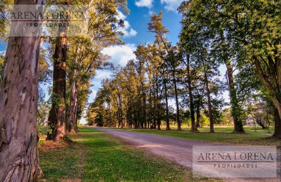 Lot for Sale in Tres Pinos Gated Community, Luján