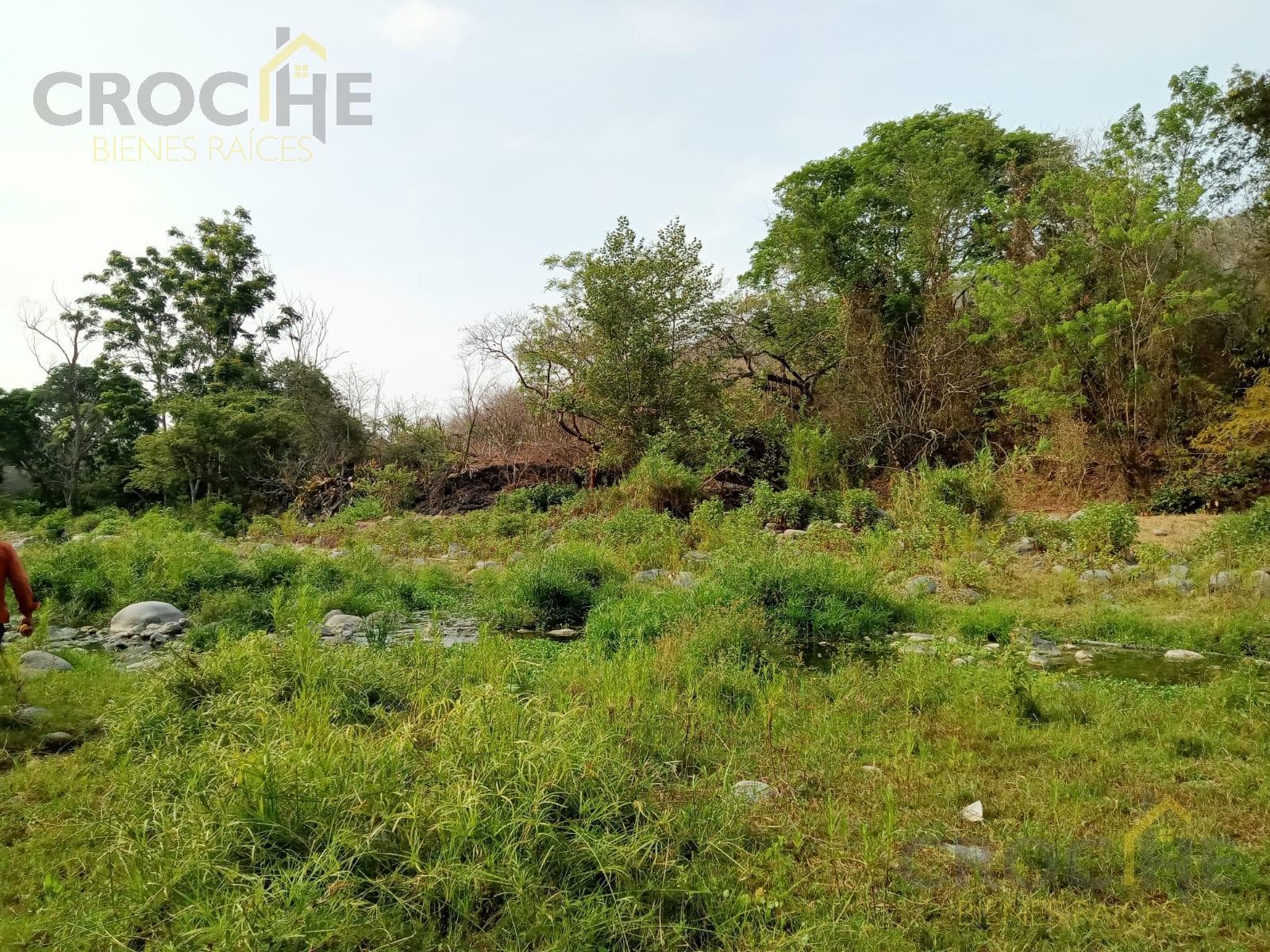 24-hectare plot of land for sale or rent in Actopan, Veracruz.
