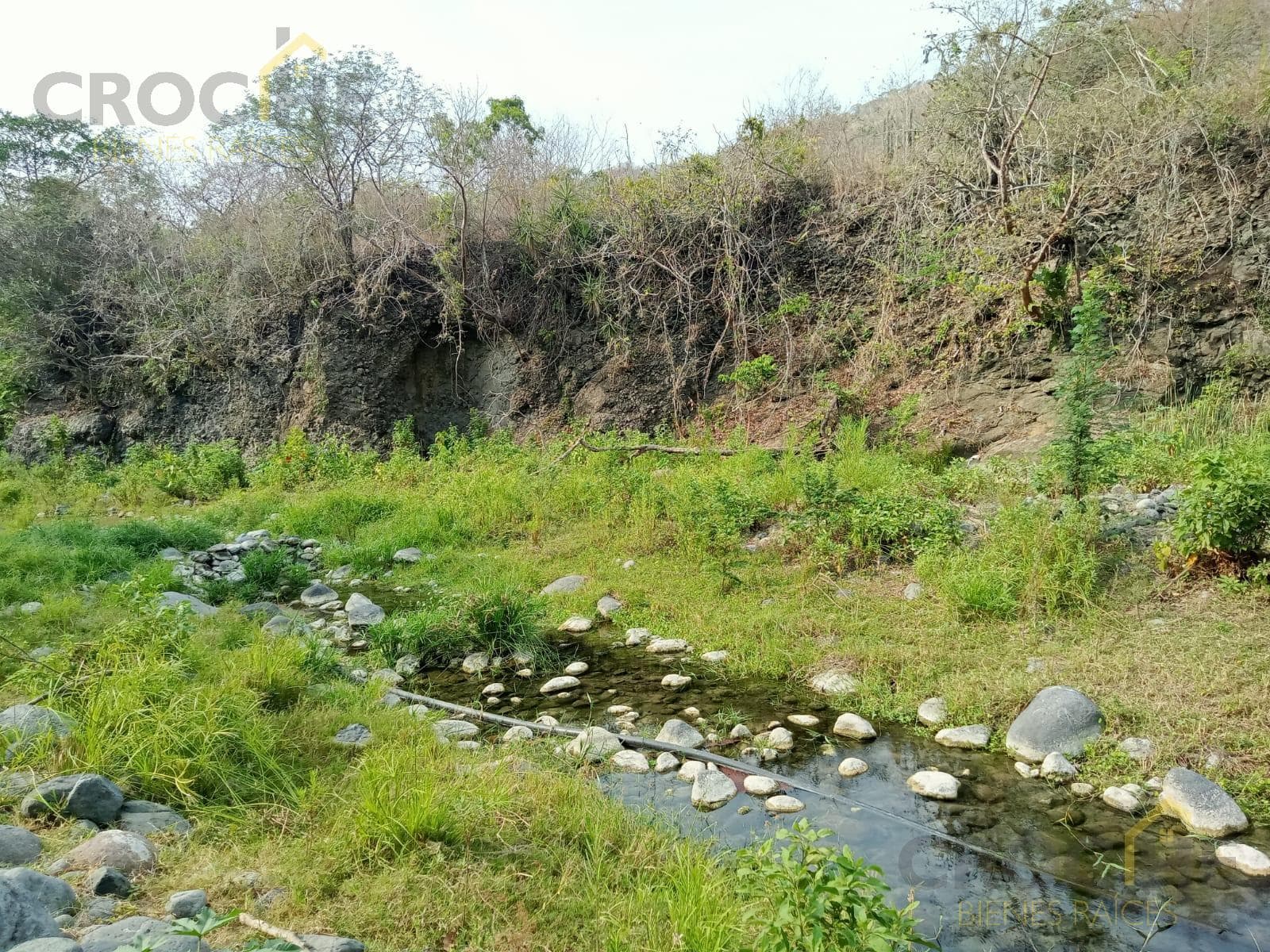 24-hectare plot of land for sale or rent in Actopan, Veracruz.