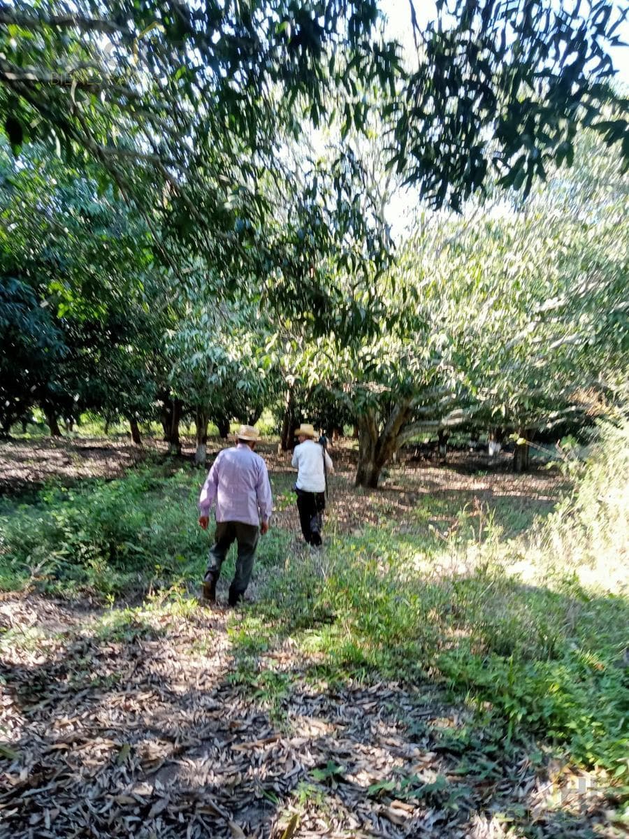 24-hectare plot of land for sale or rent in Actopan, Veracruz.