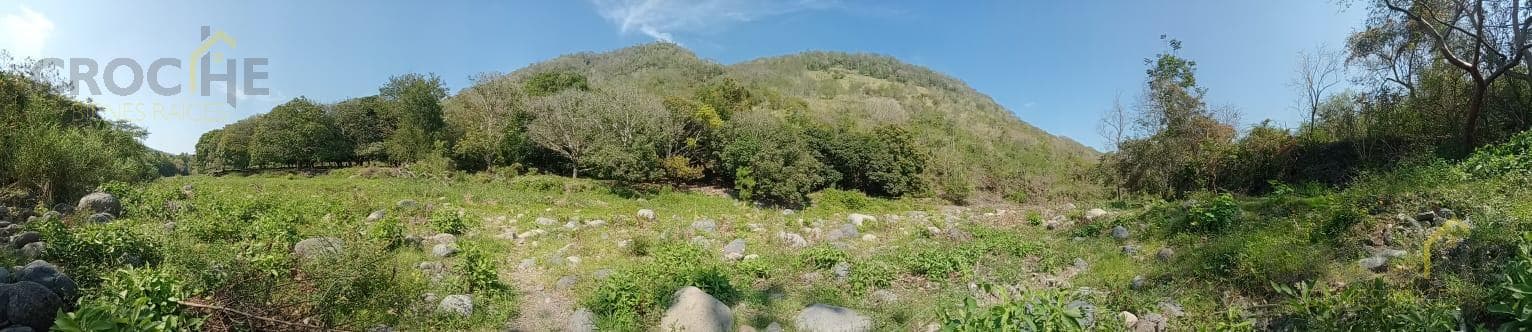 24-hectare plot of land for sale or rent in Actopan, Veracruz.