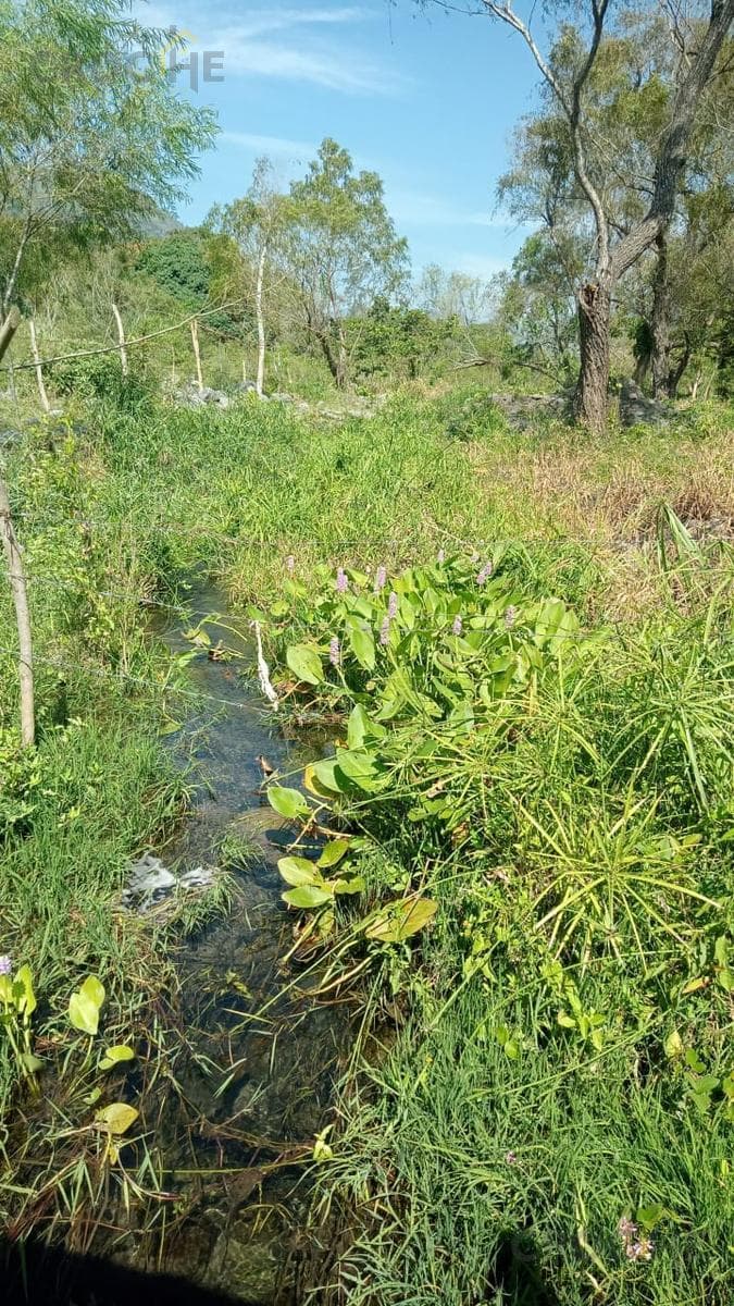 24-hectare plot of land for sale or rent in Actopan, Veracruz.