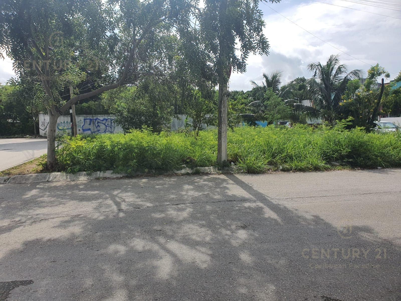 Land for Sale on Av. 137, Monte Real Subdivision, C3937