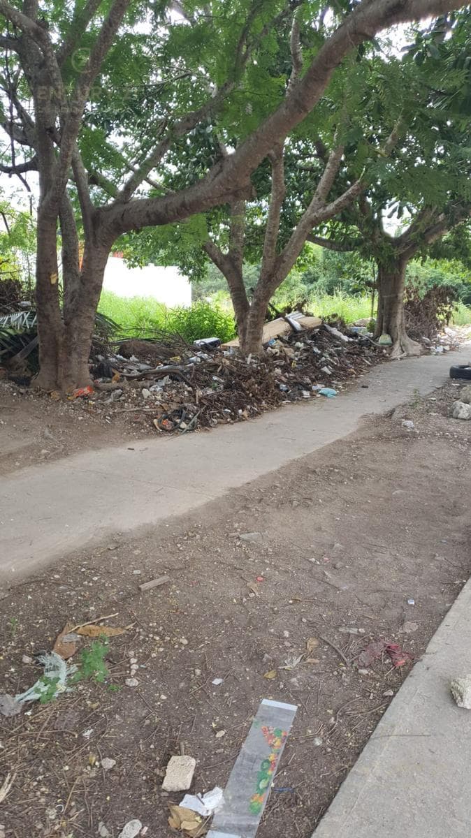 Land for Sale on Palma Aceitera Street and Arco Norte, "La Palma II Subdivision" C3939