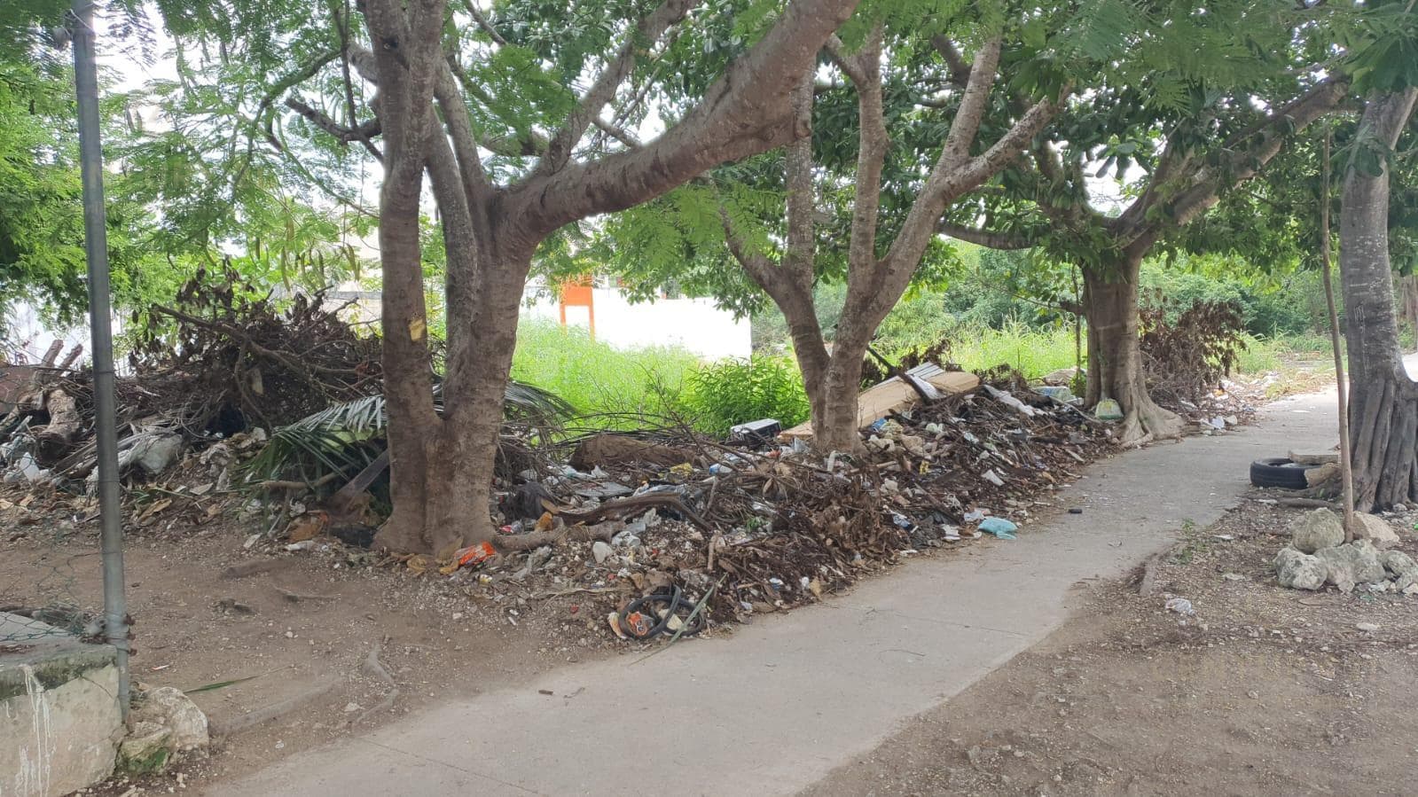 Land for Sale on Palma Aceitera Street and Arco Norte, "La Palma II Subdivision" C3939