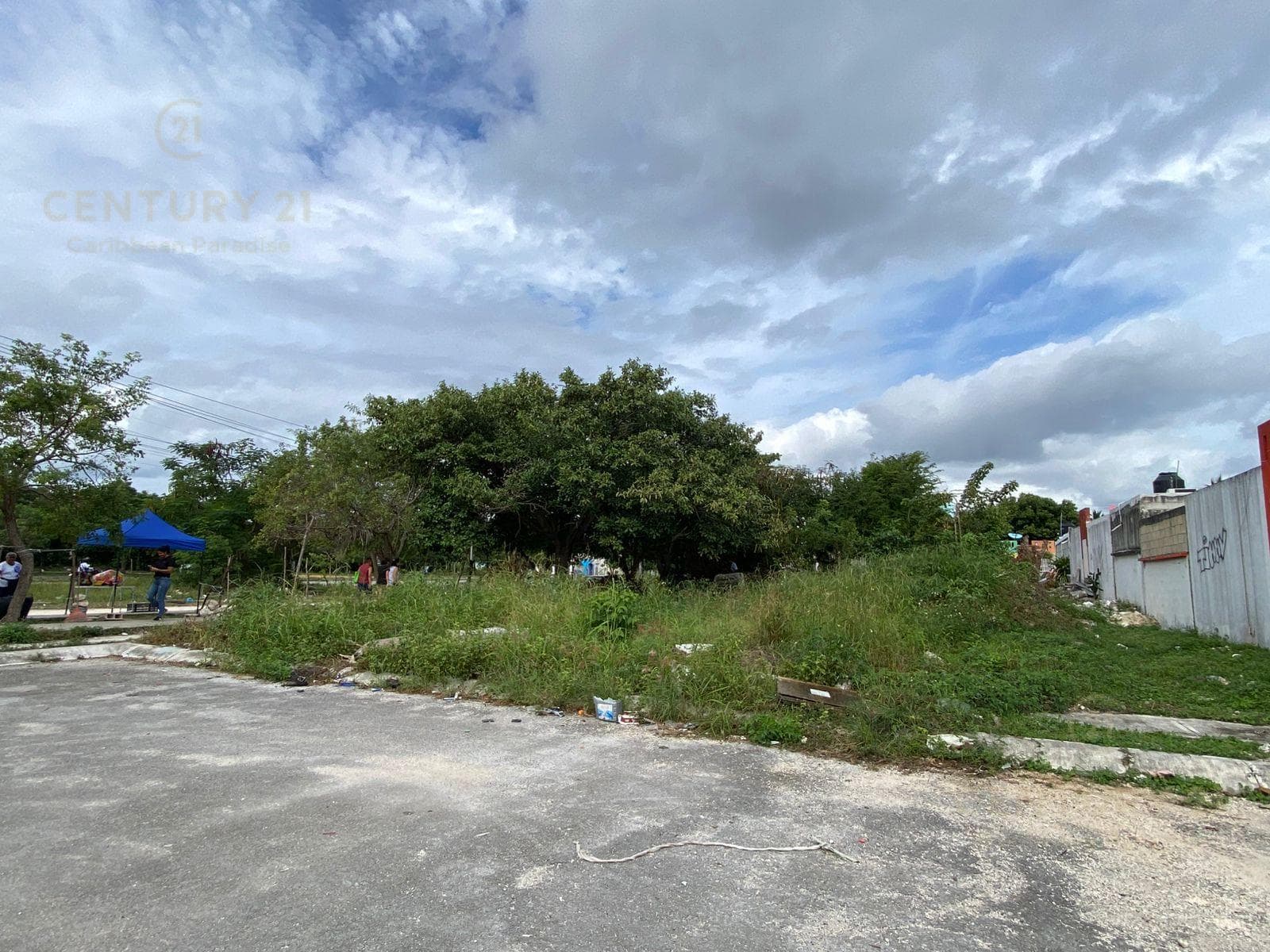 Land for Sale on Palma Aceitera Street and Arco Norte, "La Palma II Subdivision" C3939