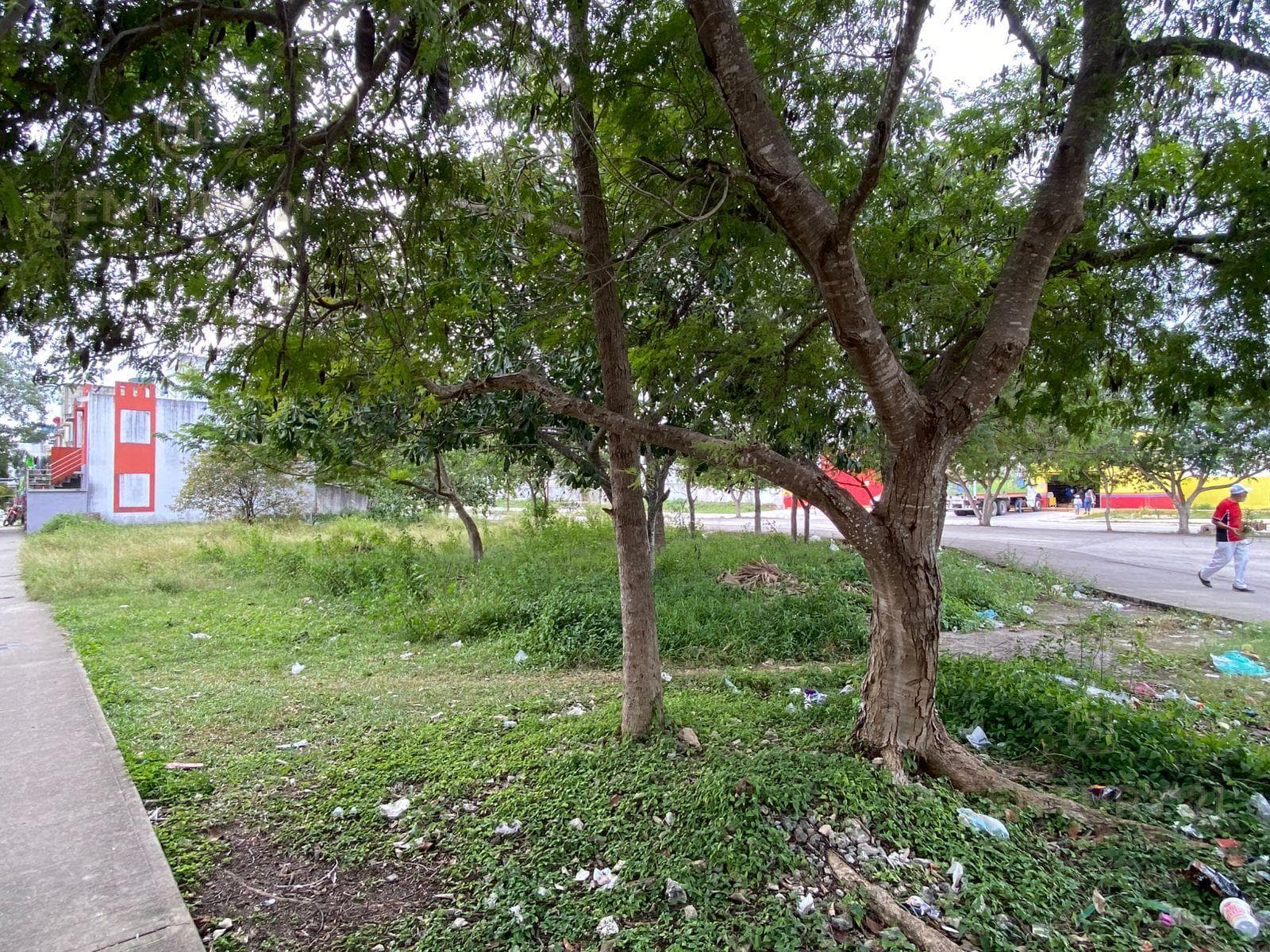 Land for sale at the intersection of Palmas McArthur Street and Arco Norte, Las Palmas II Subdivision, Lot C3940