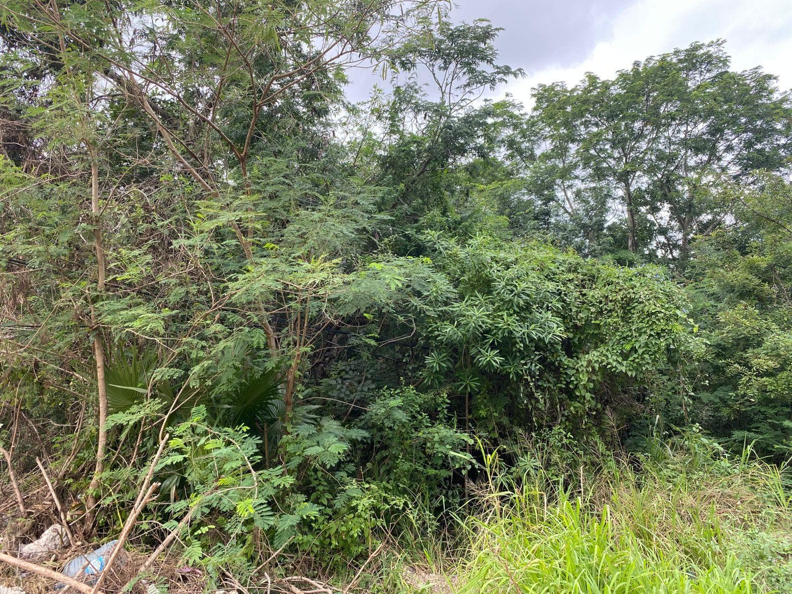 Lot for Sale in Cancún | Corner Lot for Commercial and Residential Use | C3942