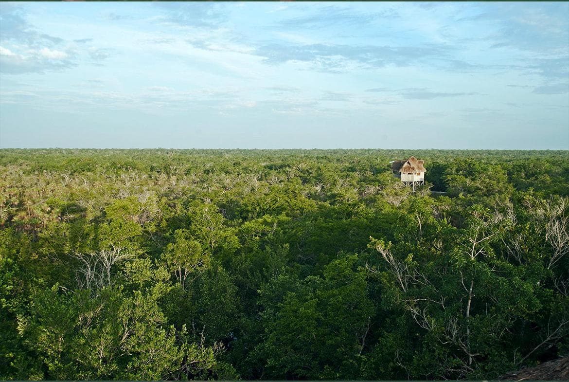 Land in Land for Sale in El Eden