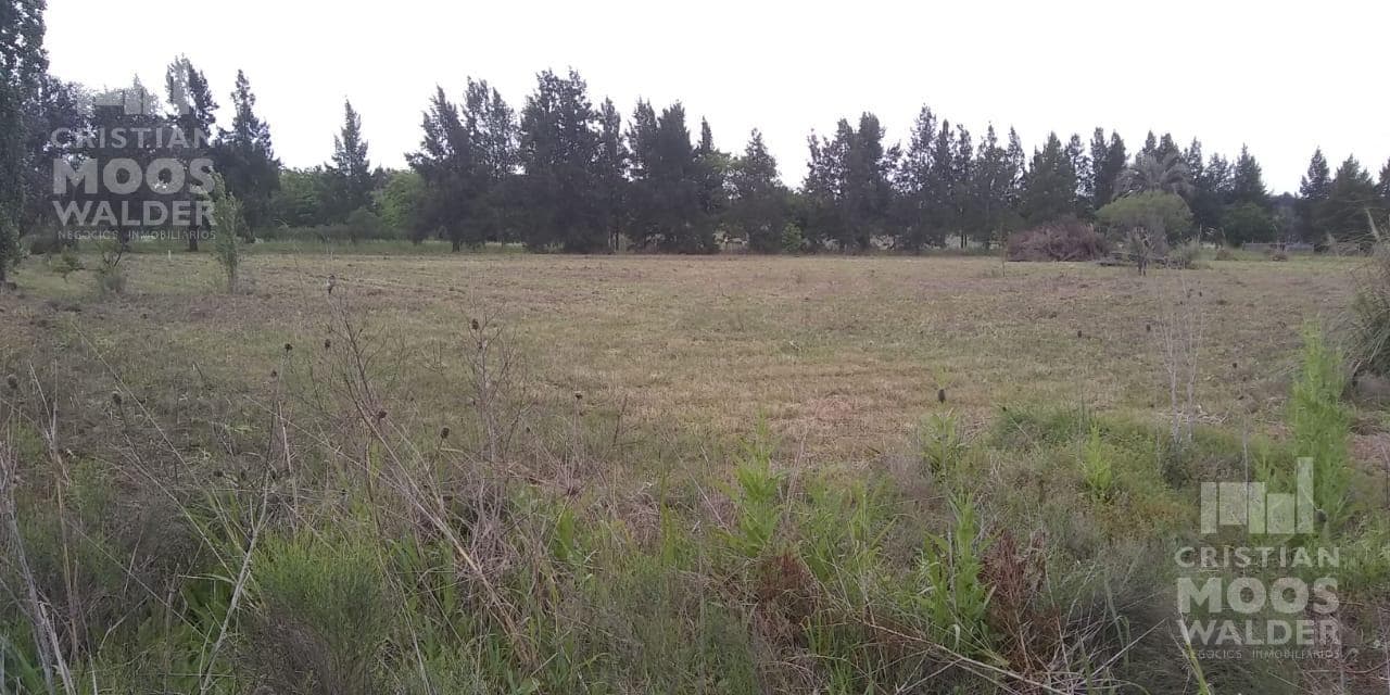 Land for Sale - Cardales