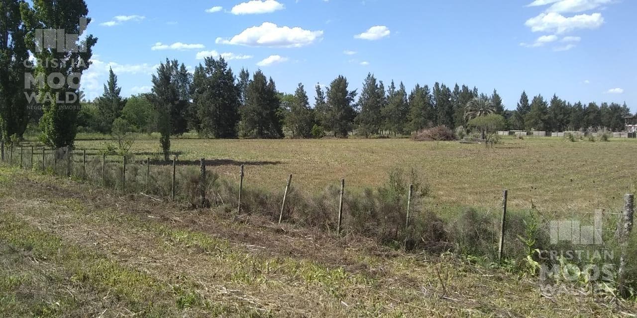 Land for Sale - Cardales