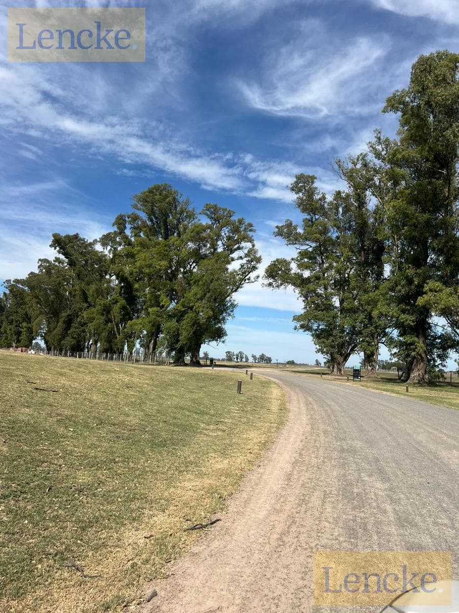 A great lot for sale: Los Tres Pinos Country Villa in General Rodriguez