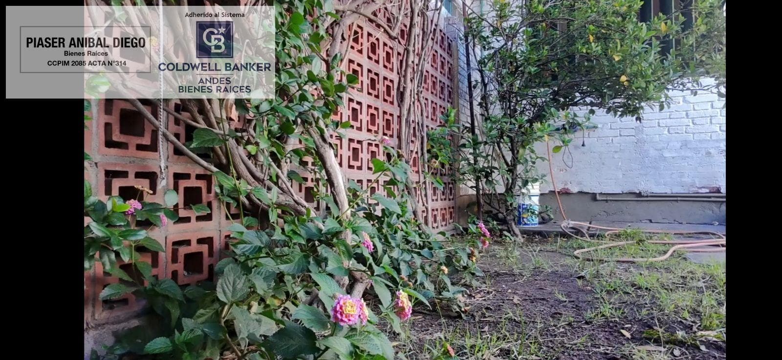 House in San Rafael