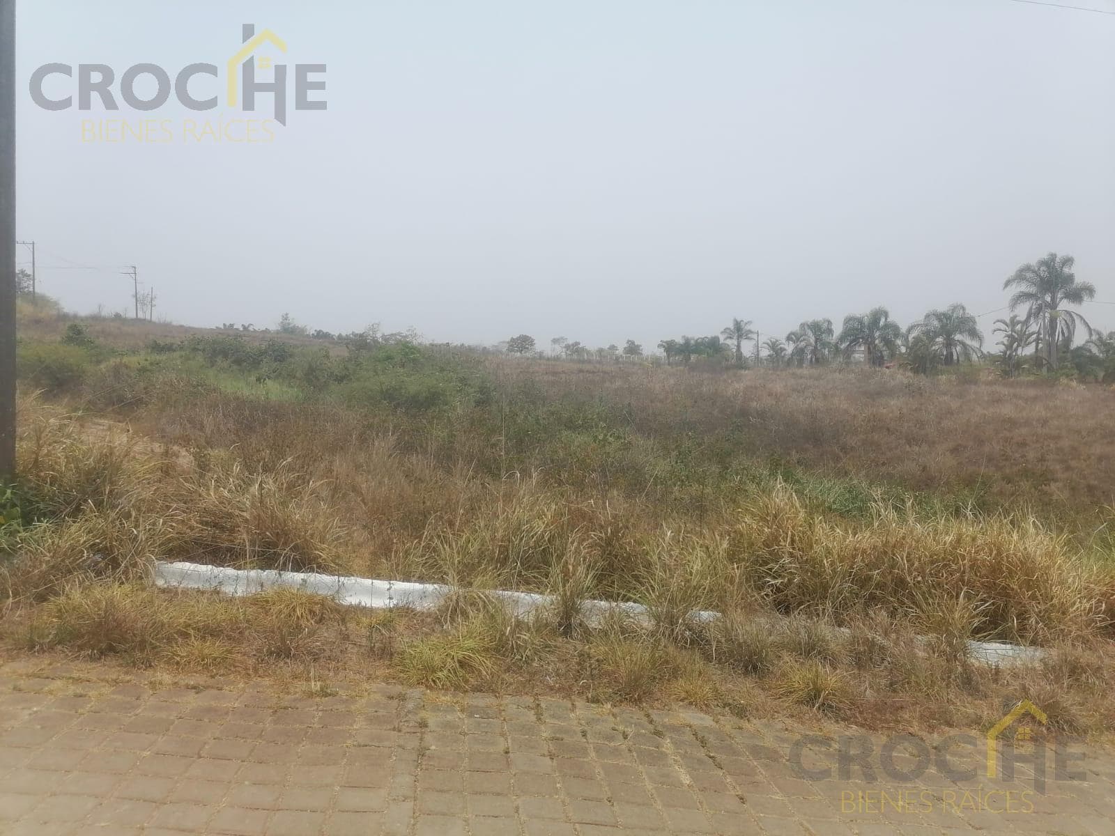 Land for Sale in Emiliano Zapata