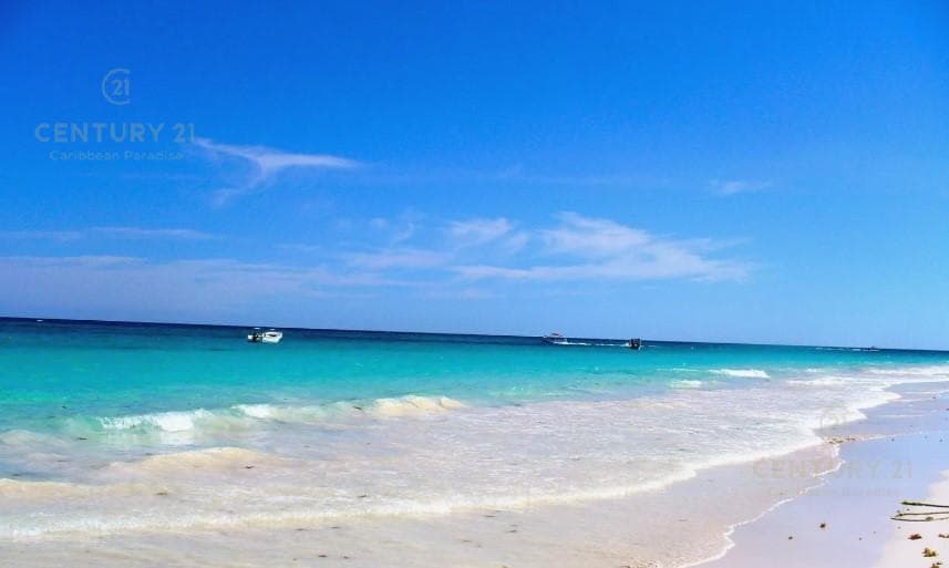 1-hectare lot for sale in Region 15 in Tulum, $180 USD per m2, P4347