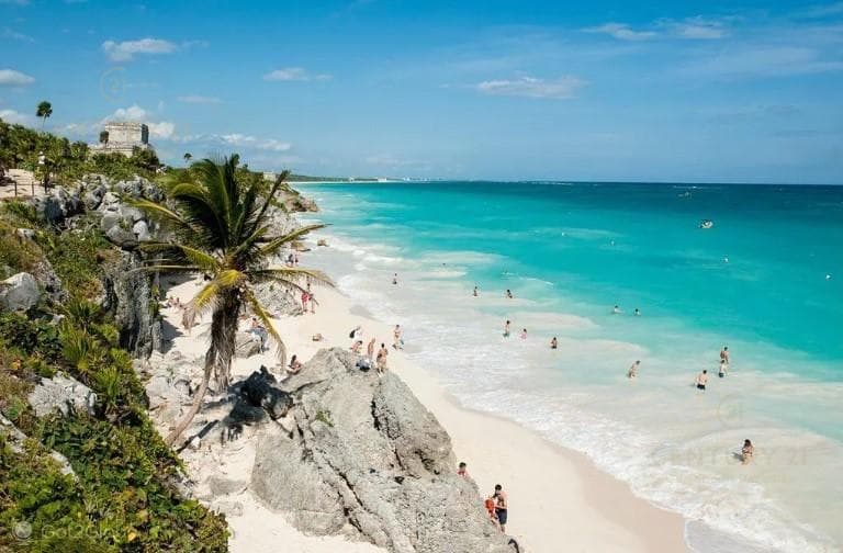 1-hectare lot for sale in Region 15 in Tulum, $180 USD per m2, P4347