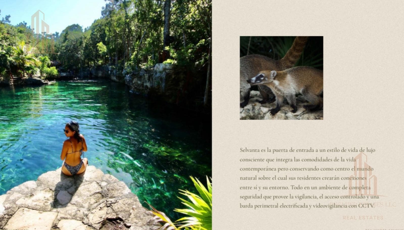 Commercial Land - Tulum