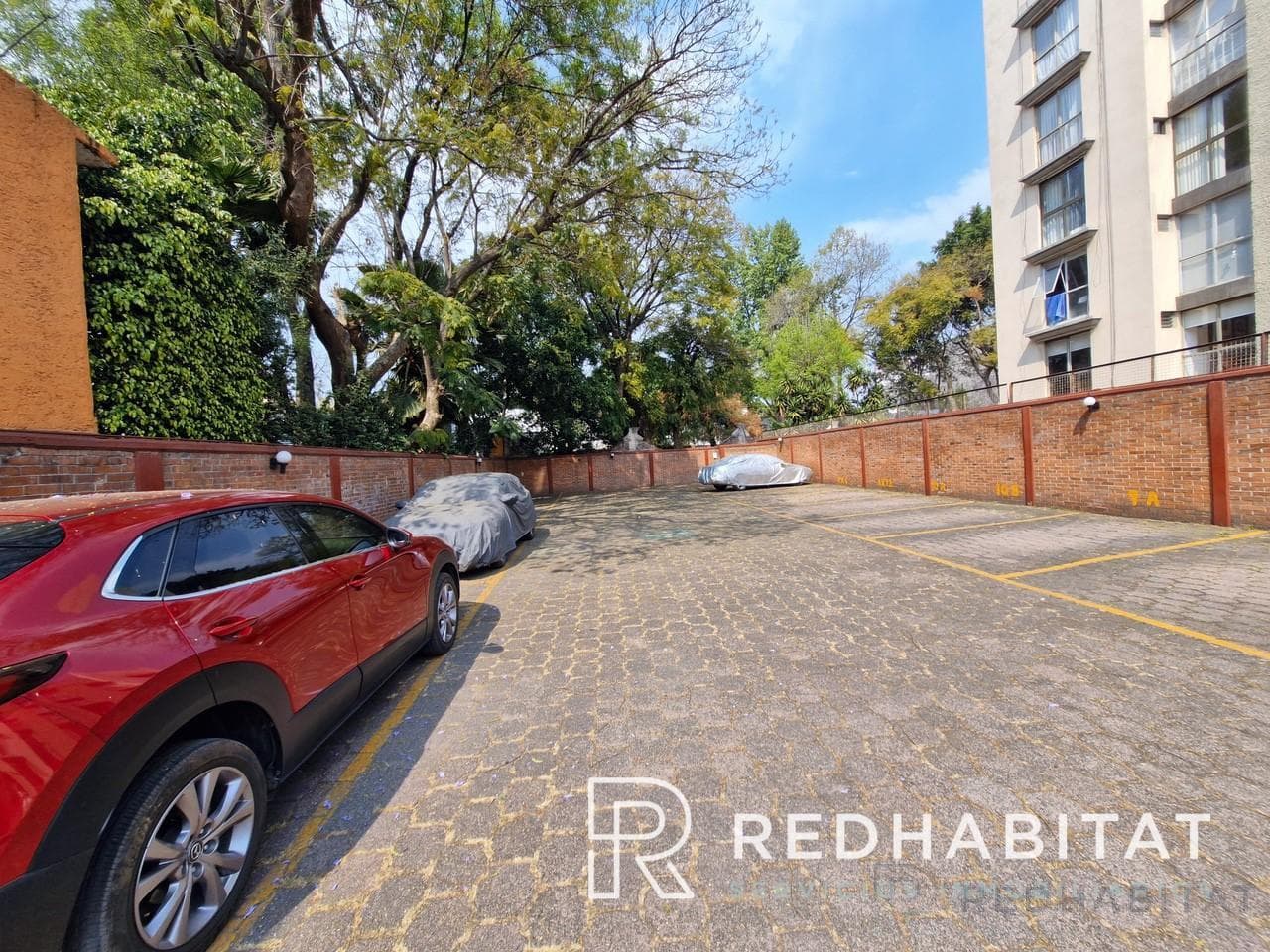 Apartment - Coyoacán