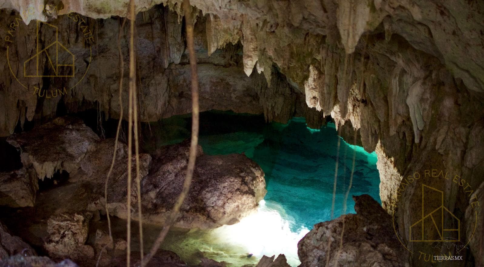 Exclusive Lots in Tulum with a Private Cenote and Legal Certainty - Special Offer at Discounted Prices