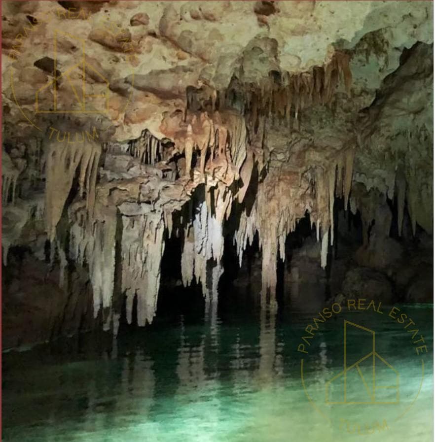 Exclusive Lots in Tulum with a Private Cenote and Legal Certainty - Special Offer at Discounted Prices