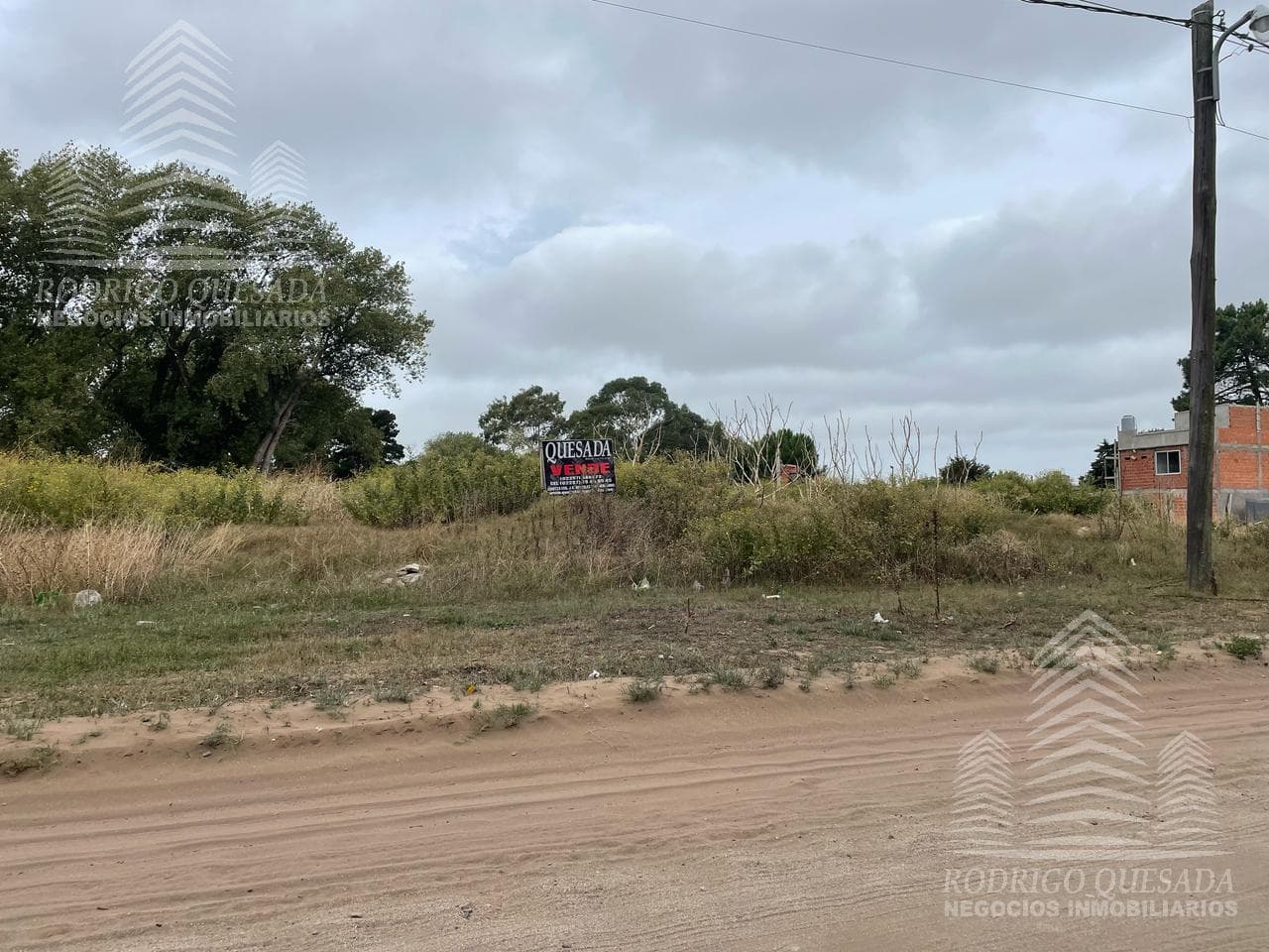 | LOT OF 20 X 51 | |SAN BERNARDO| BARGAIN|