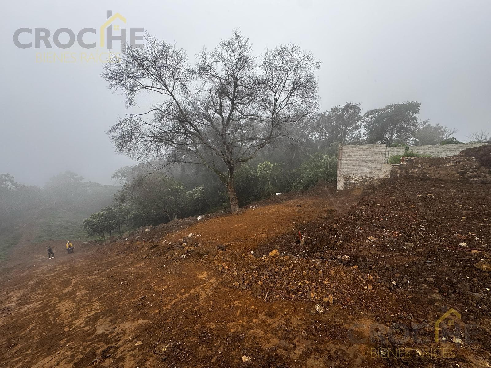 Land for sale in the Homex Las Torres area of Xalapa, Veracruz.