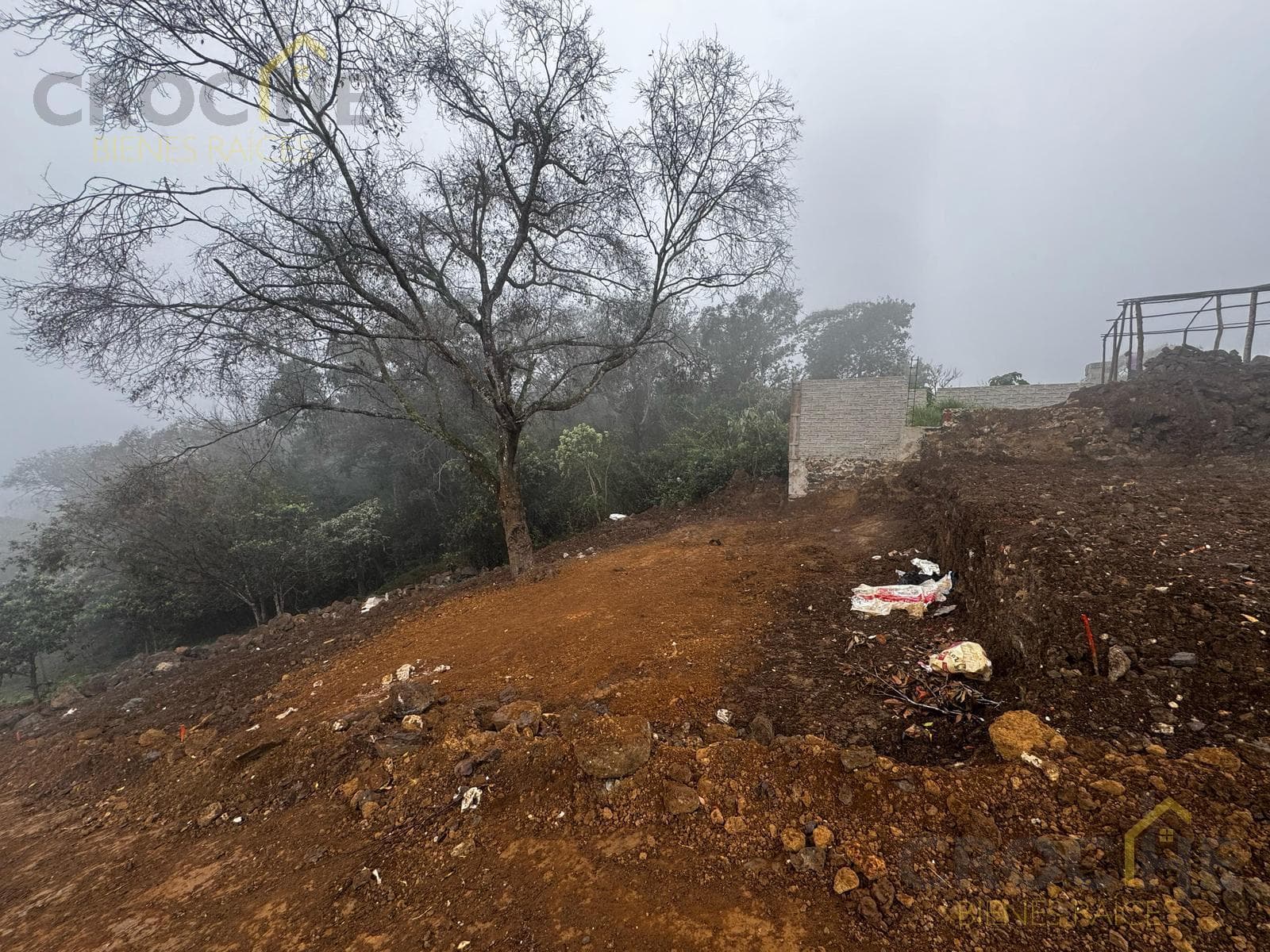 Land for sale in the Homex Las Torres area of Xalapa, Veracruz.