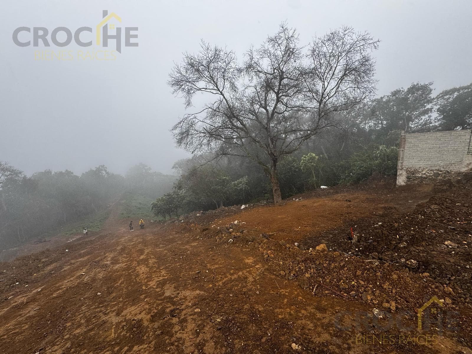 Land for sale in the Homex Las Torres area of Xalapa, Veracruz.