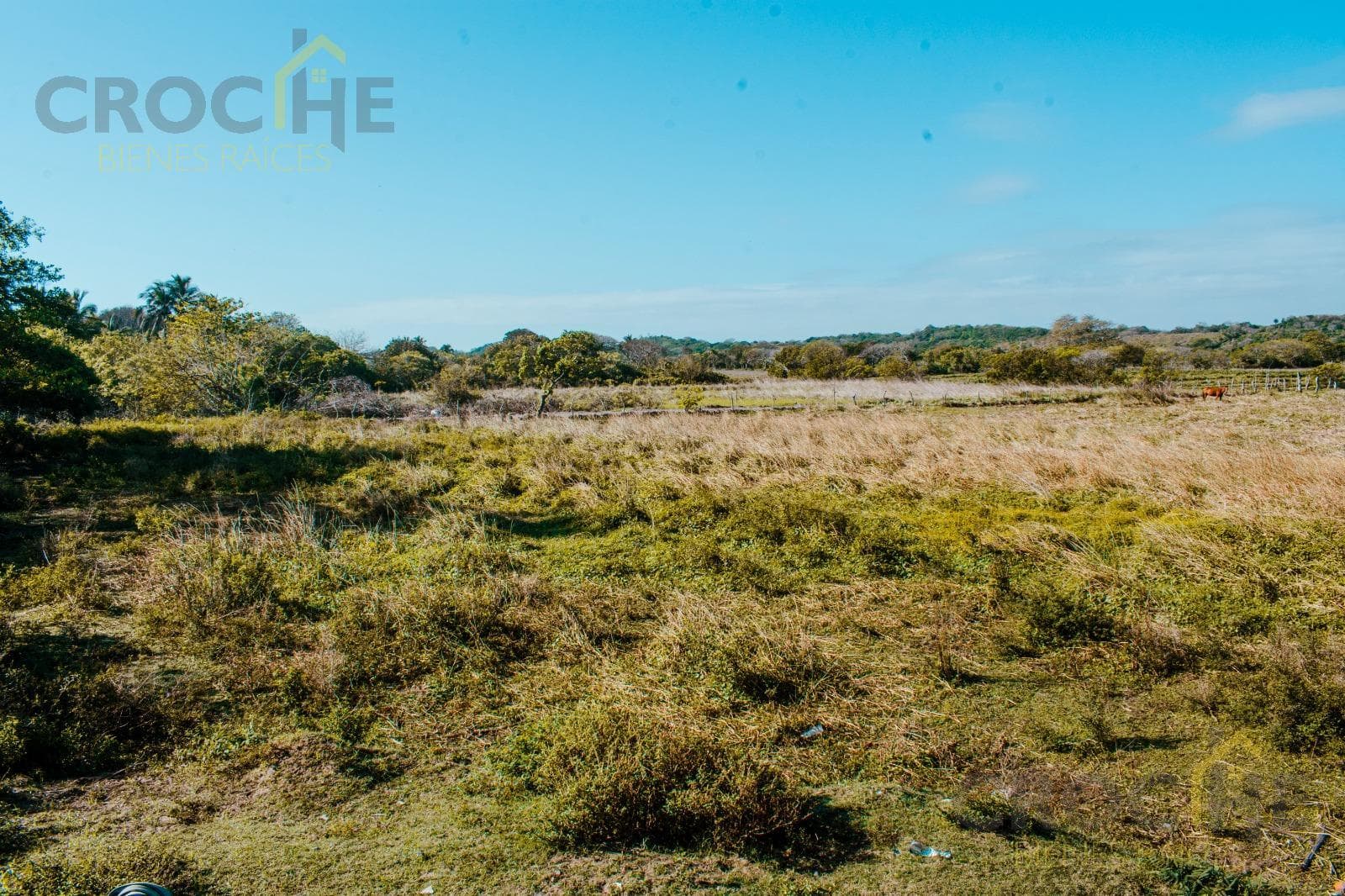 Land for sale on Zapote Beach, next to the Playa Pelicano Residential Complex