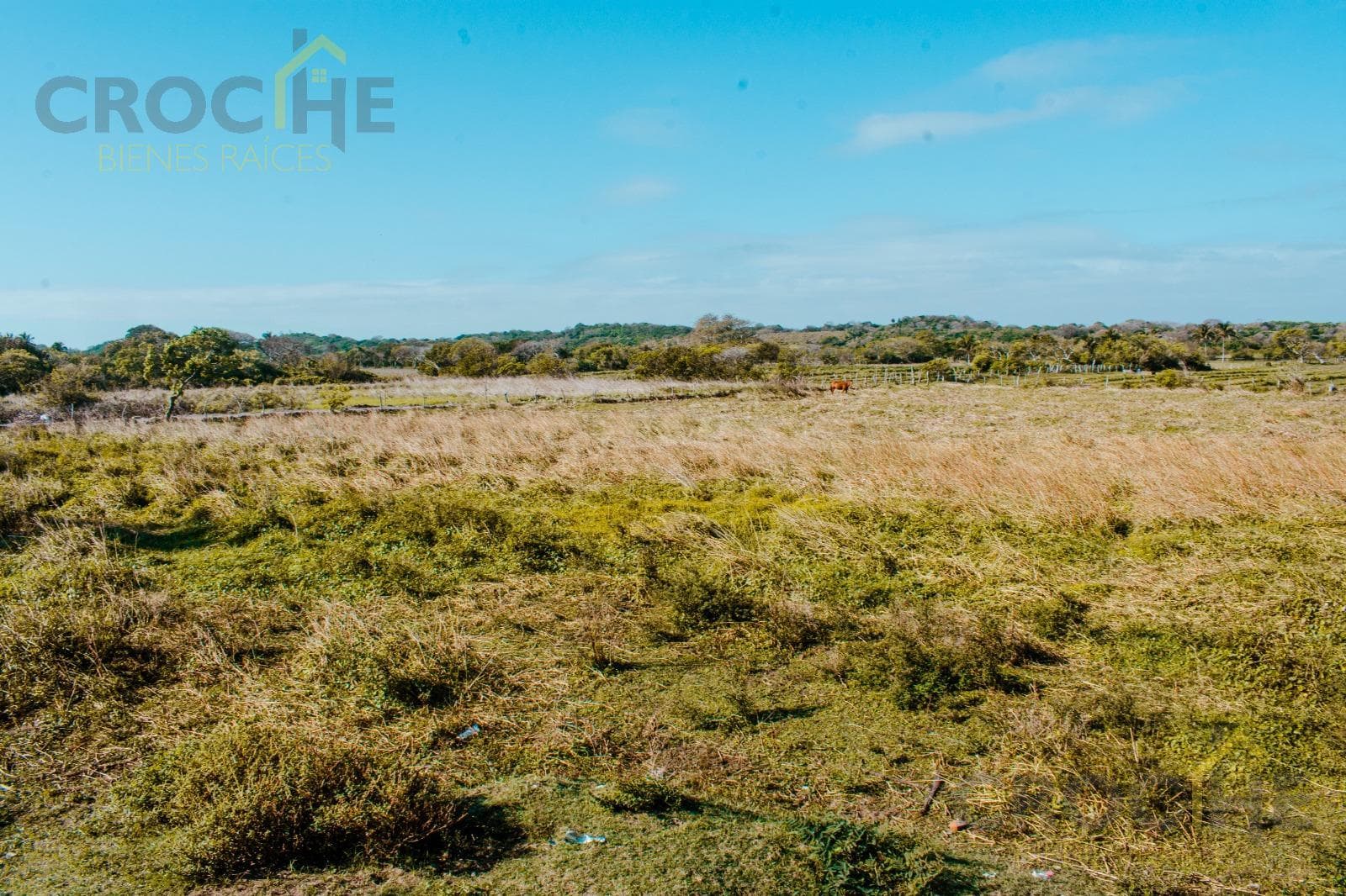 Land for sale on Zapote Beach, next to the Playa Pelicano Residential Complex