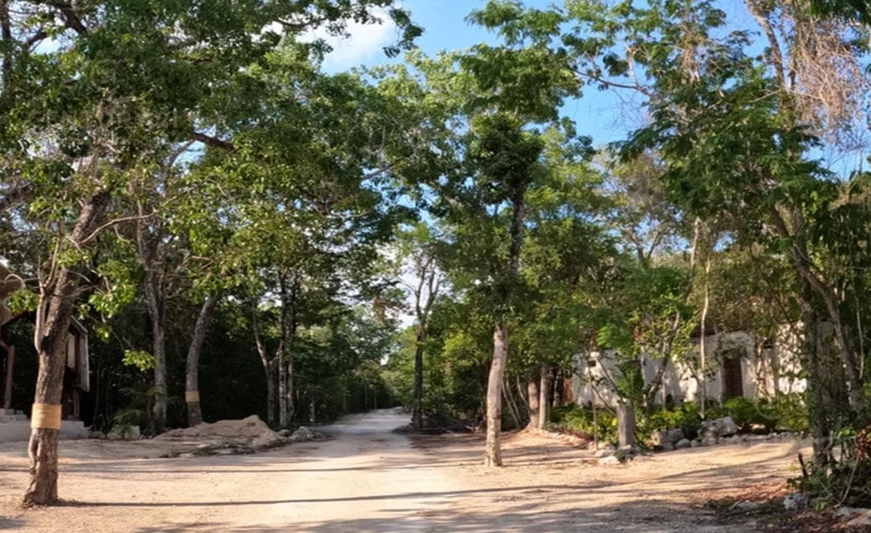Land for Sale in Chemuyil, Aldea Coral. C3962