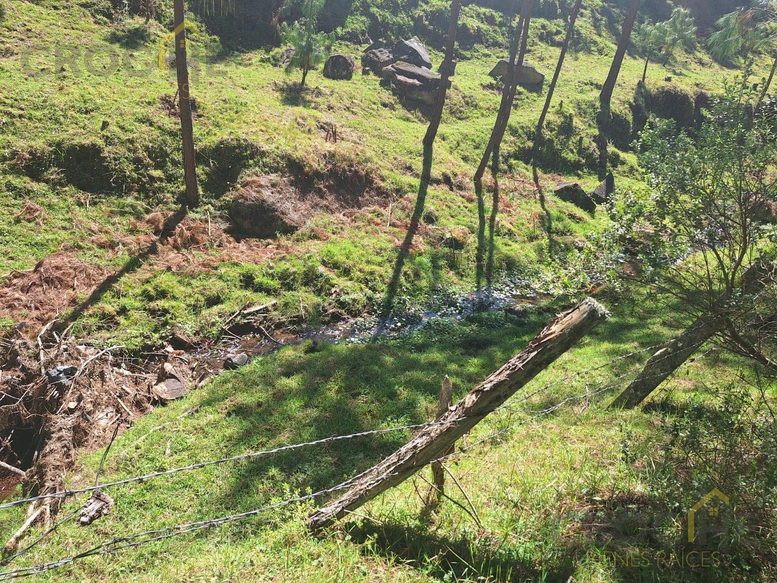 Land for sale in San Isidro, Las Vigas de Ramirez, Veracruz.