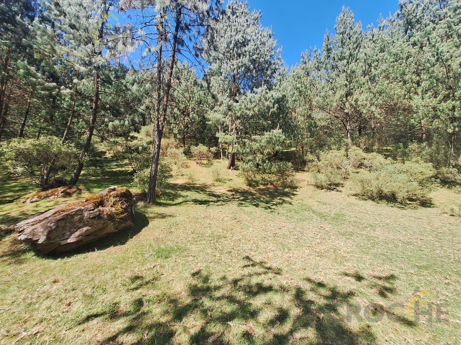 Land for sale in San Isidro, Las Vigas de Ramirez, Veracruz.