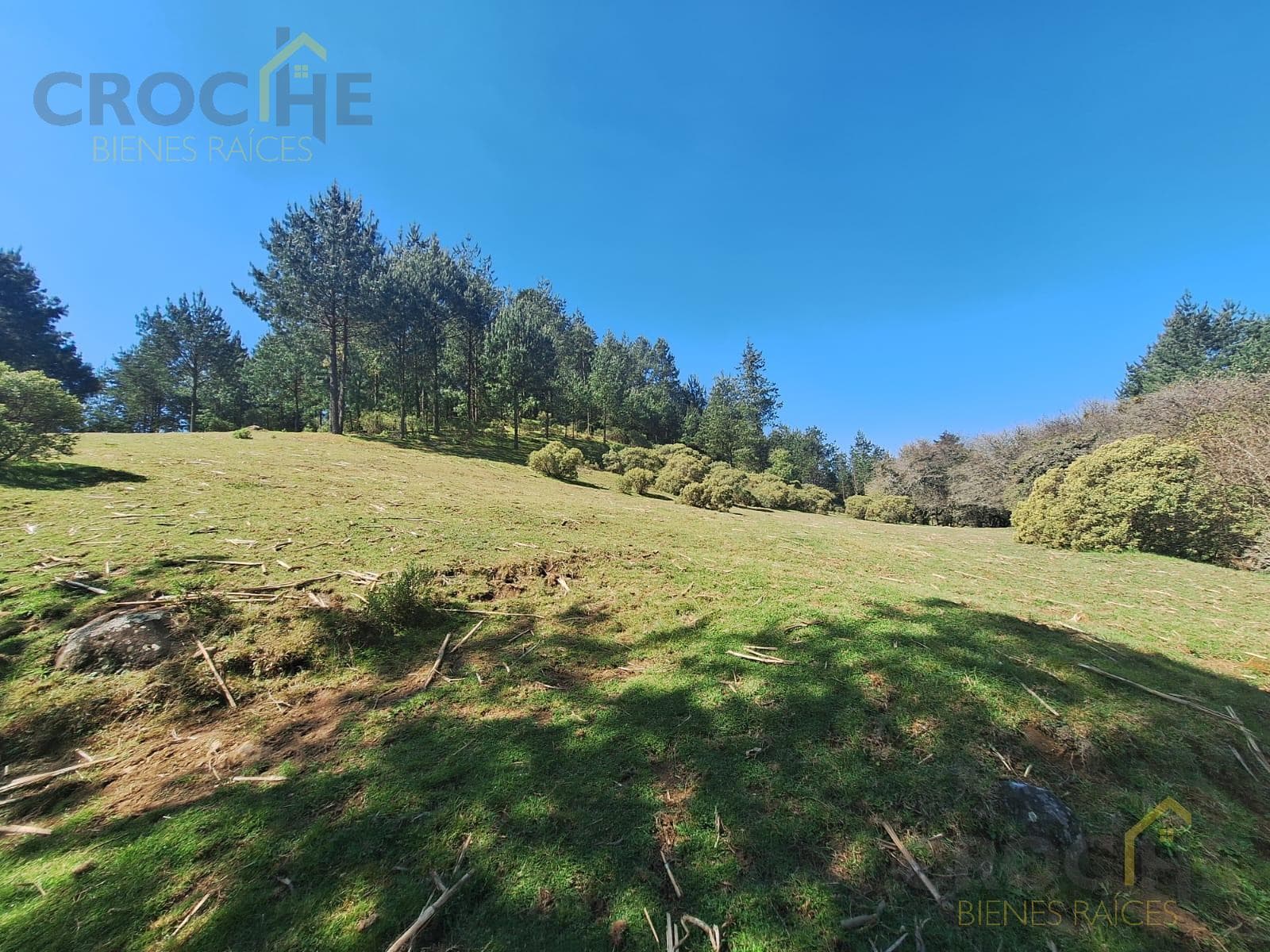 Land for sale in San Isidro, Las Vigas de Ramirez, Veracruz.