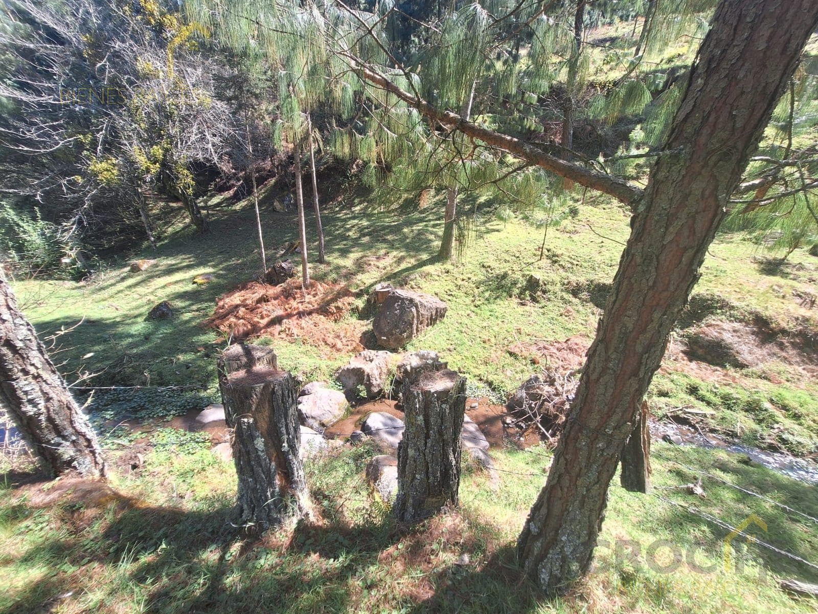 Land for sale in San Isidro, Las Vigas de Ramirez, Veracruz.