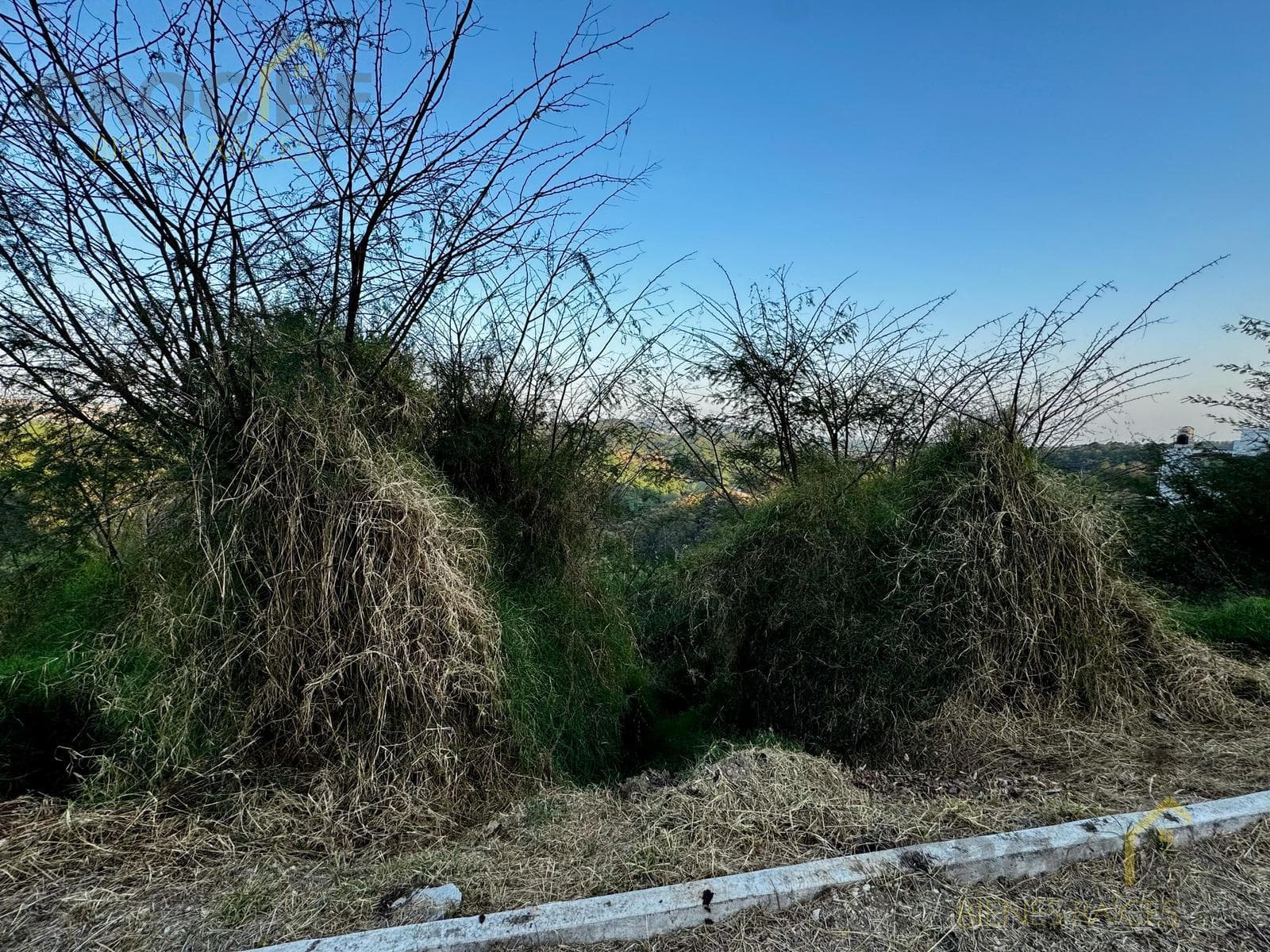 Land for Sale in Imperial del Bosque, Across from Coapexpan