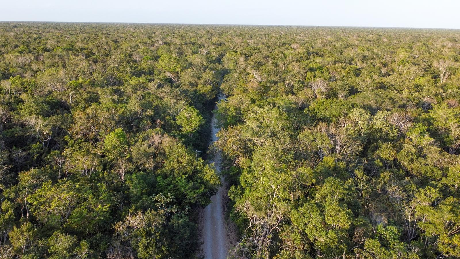 Lot for Sale in Aldea Coral, Chemuyil, Tulum | Near the Main Entrance | C3978