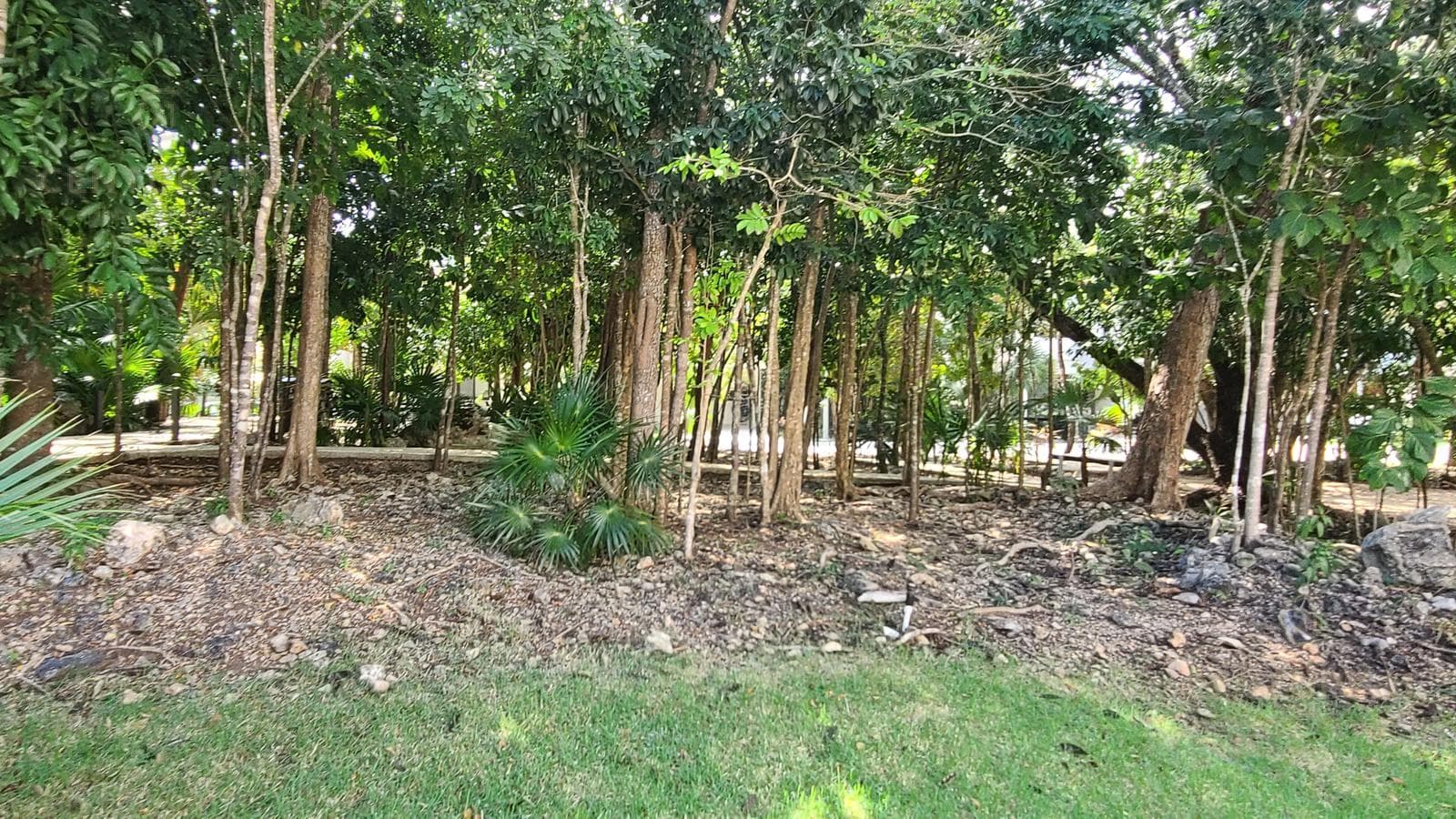 Hermosa casa en preventa en Residencial Senderos Mayakoba en Playa del Carmen P4400