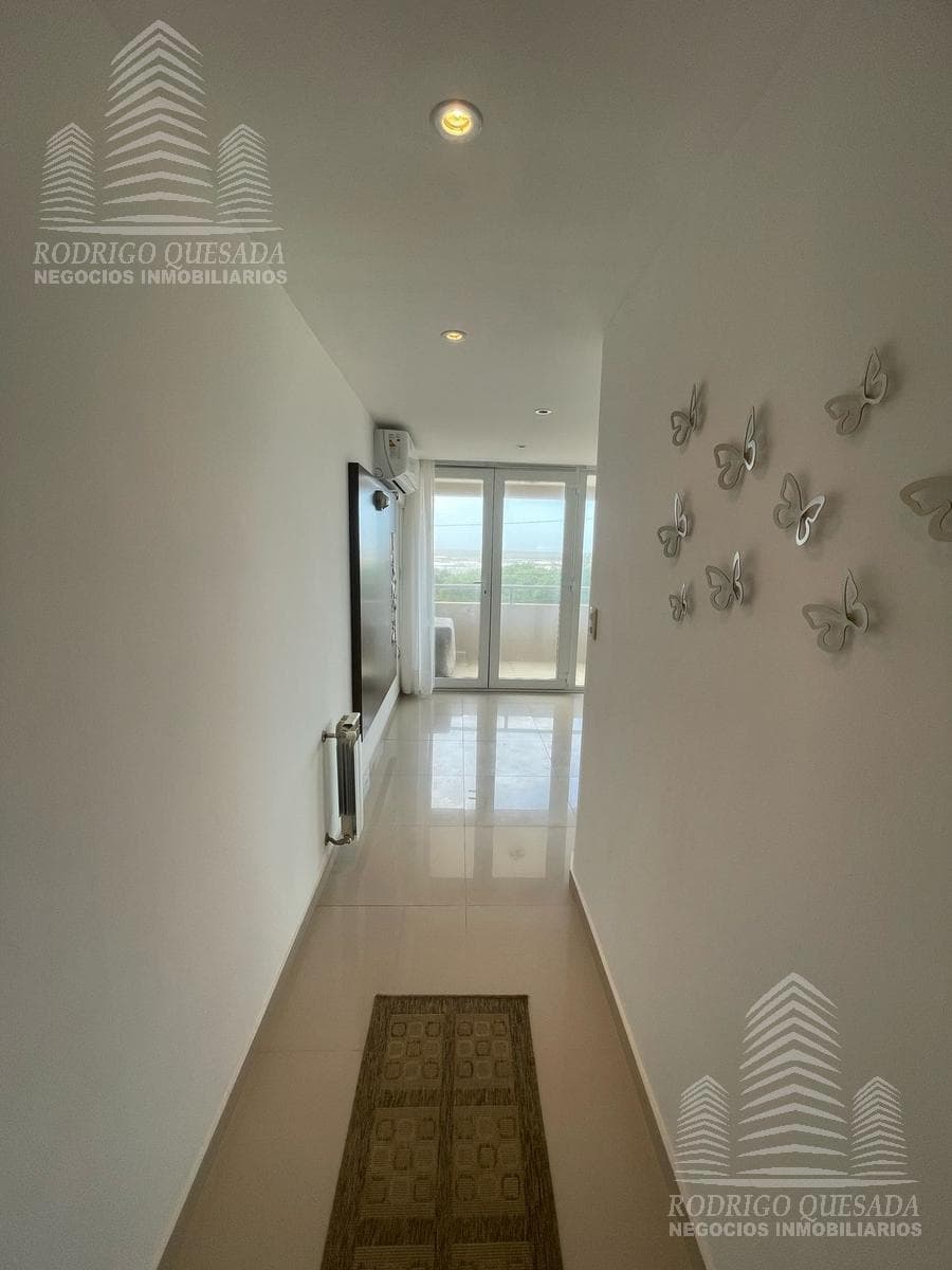|EXCLUSIVE OCEANFRONT APARTMENT| |SAN BERNARDO|