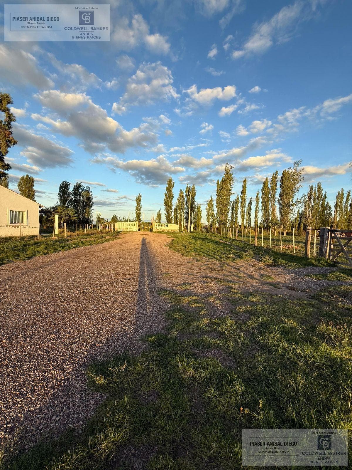 Land, Lot