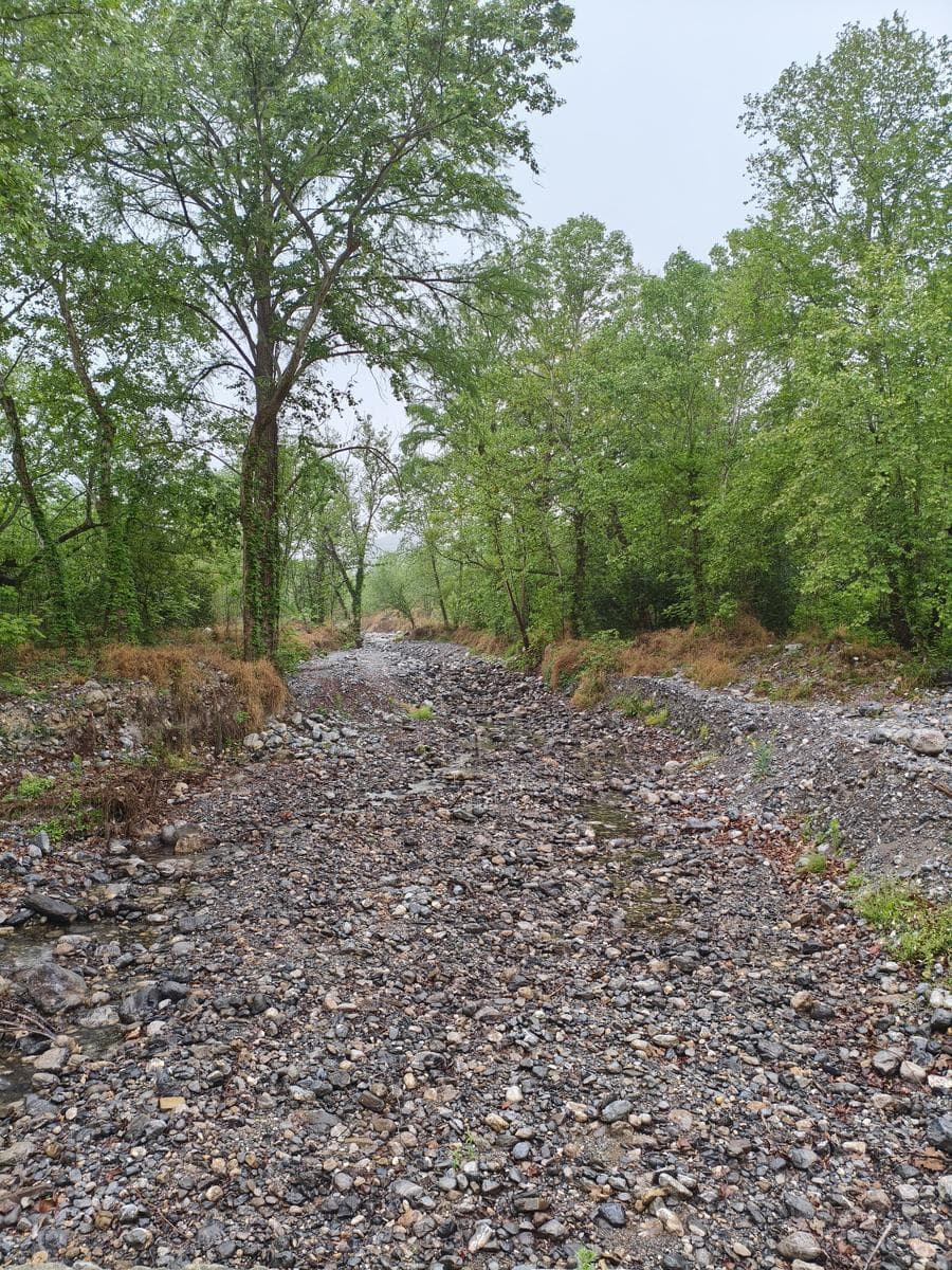 Land for Sale: Valle Alto Equestrian Center