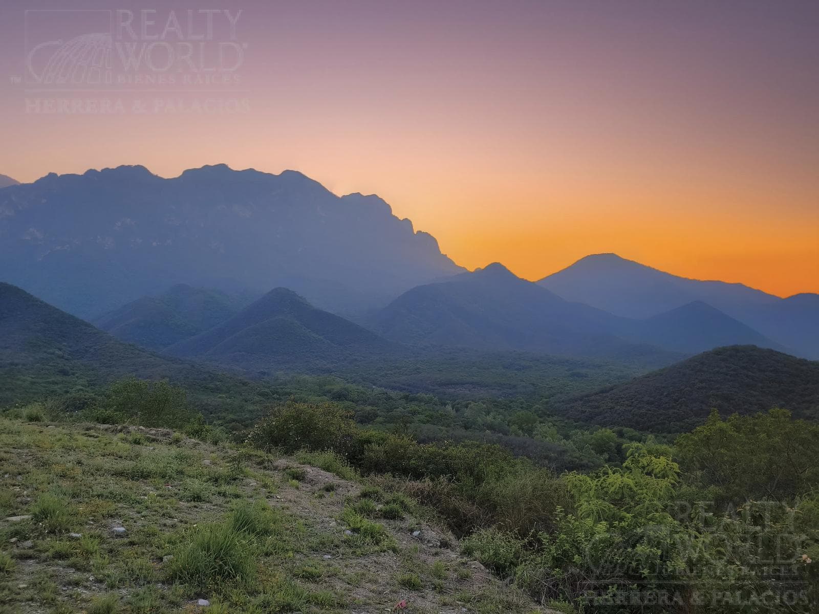 Land for Sale: Valle Alto Equestrian Center