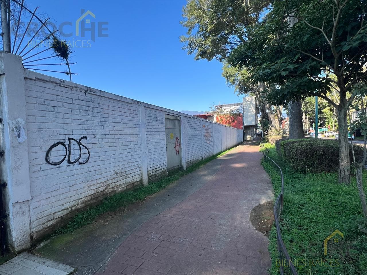 Land for Sale in Ávila Camacho, Xalapa, Veracruz—A GREAT OPPORTUNITY