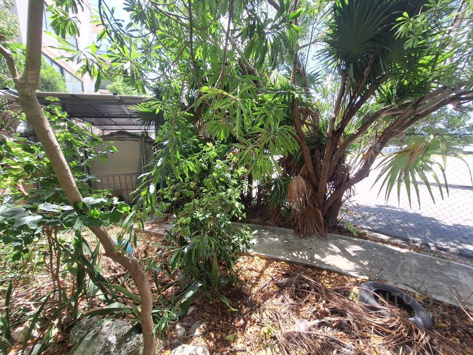Residential Lot for Sale in Downtown Playa del Carmen | Ideal for a 5-Story Development | P4392
