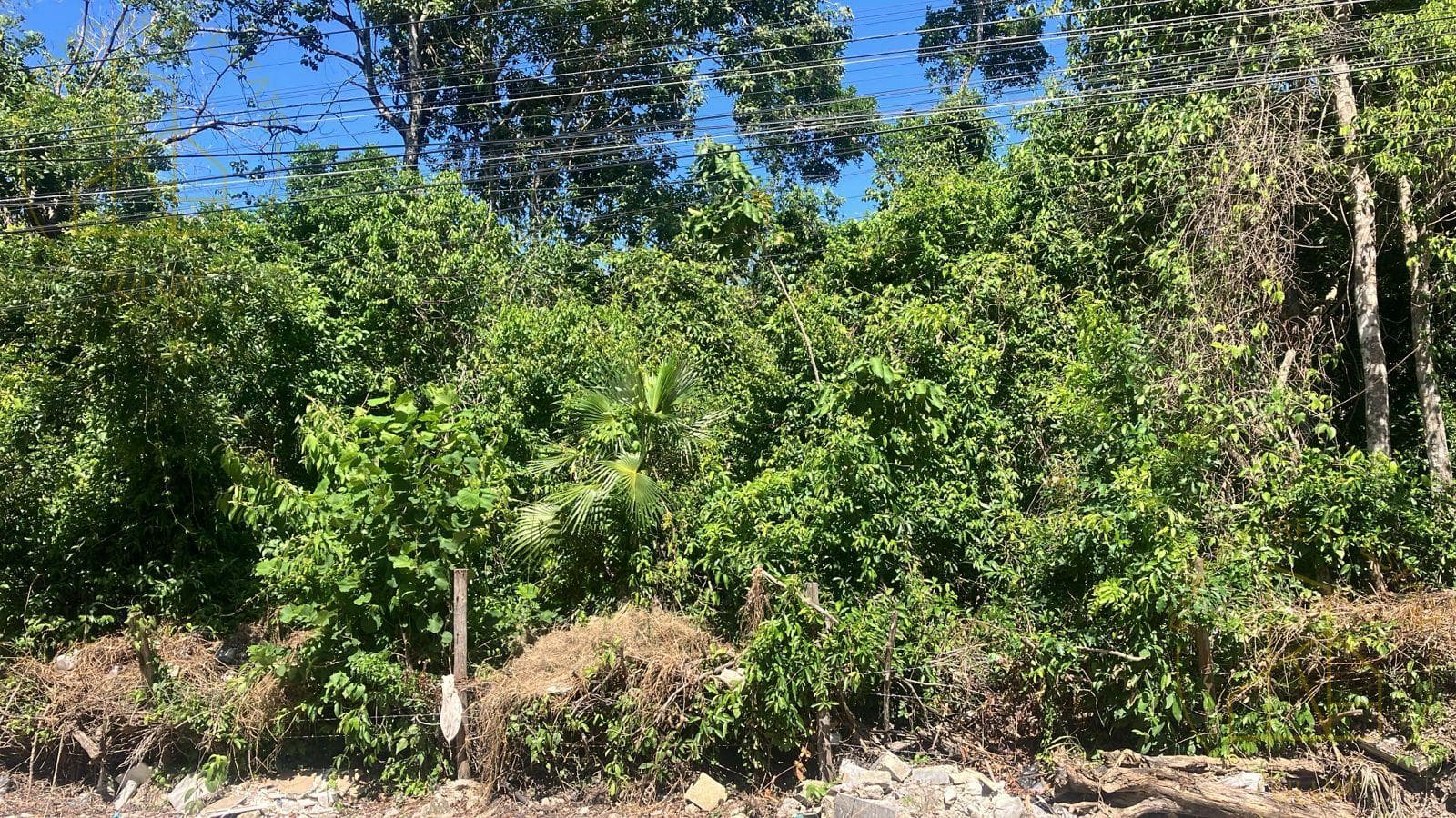 4 lots, each measuring 300 m², on Calle 4 Sur, in La Veleta