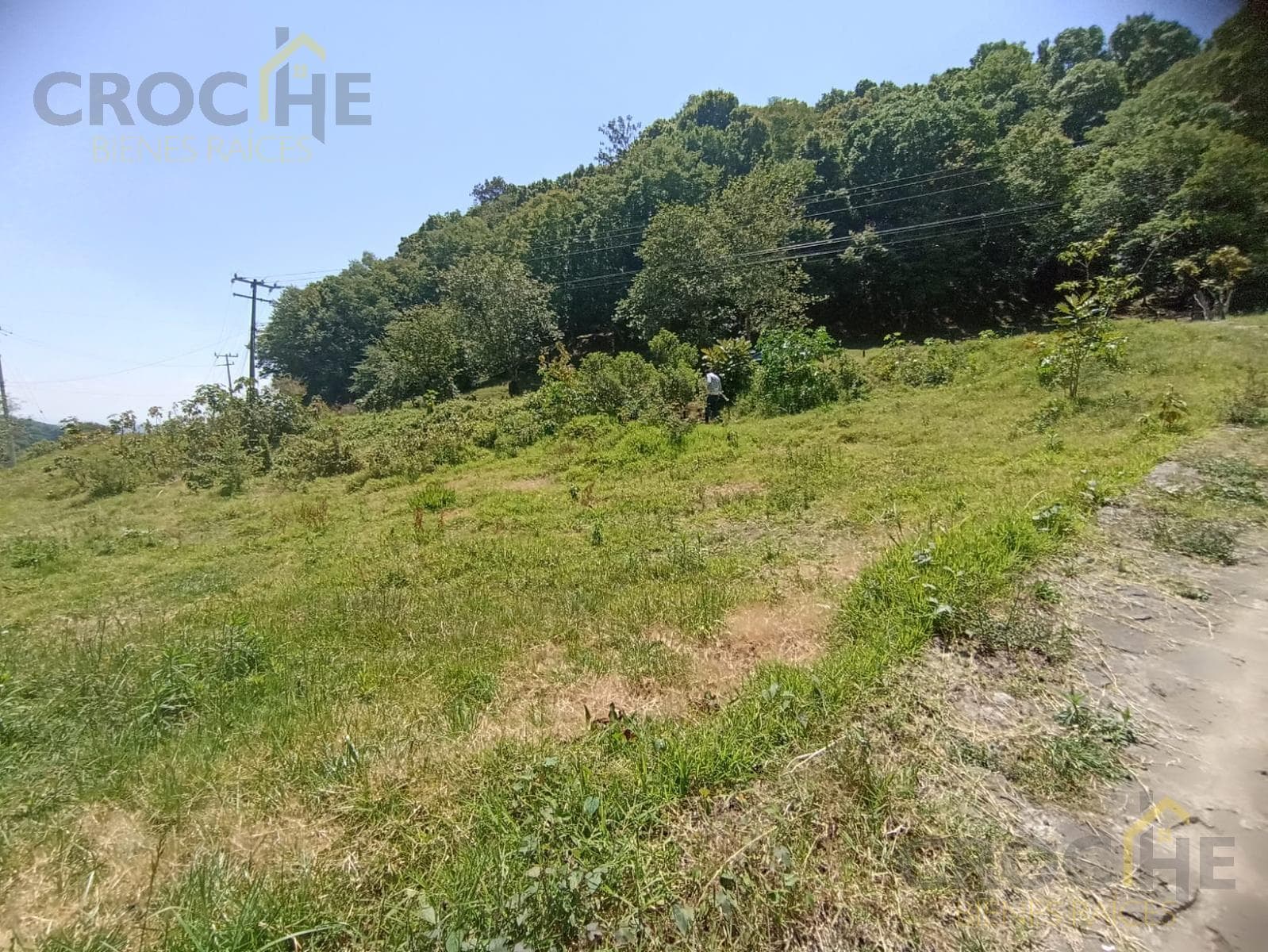 Land for sale in Piletas, 15 minutes from Xalapa, with paved access