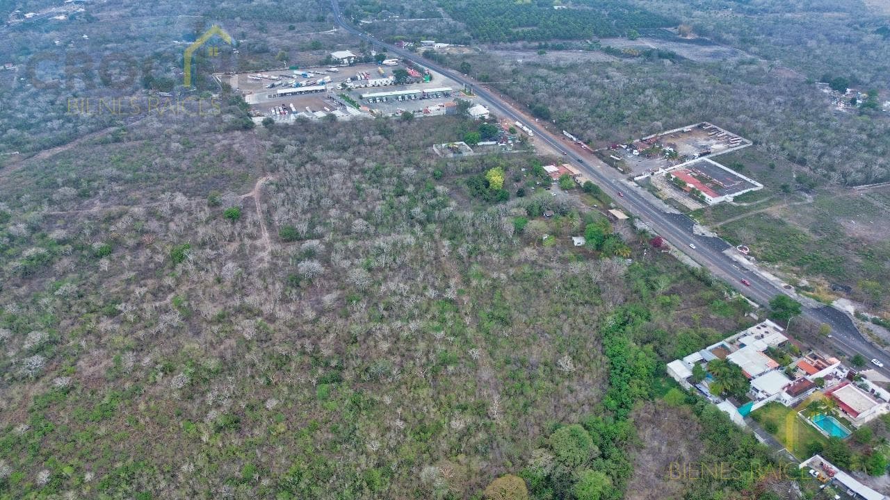 Land for Sale Along the Road in the Municipality of Palo Gacho, Veracruz