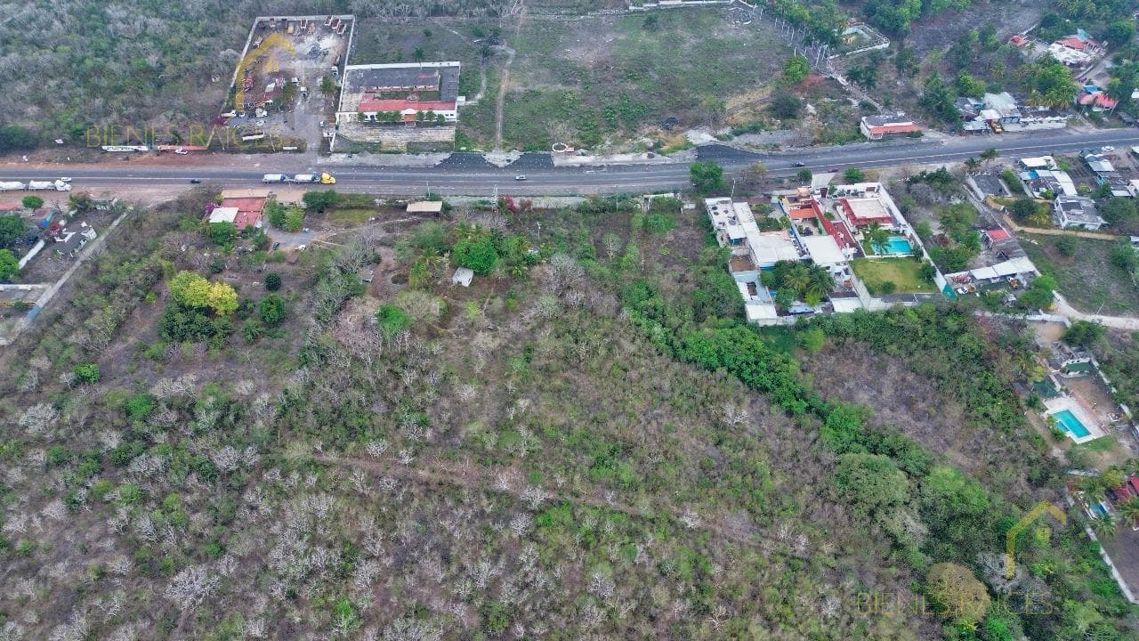 Land for Sale Along the Road in the Municipality of Palo Gacho, Veracruz